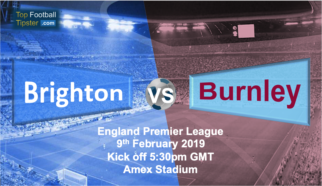 Brighton vs Burnley: Preview and Prediction