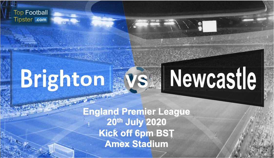 Brighton vs Newcastle: Preview and Prediction