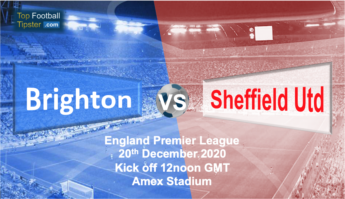 Brighton vs Sheffield Utd: Preview and Prediction