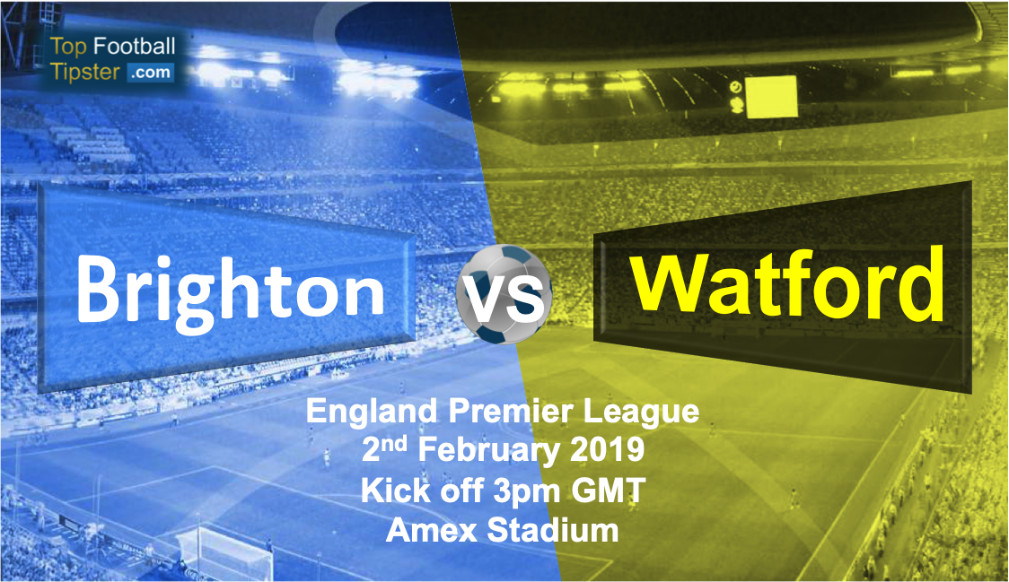 Brighton vs Watford: Preview and Prediction