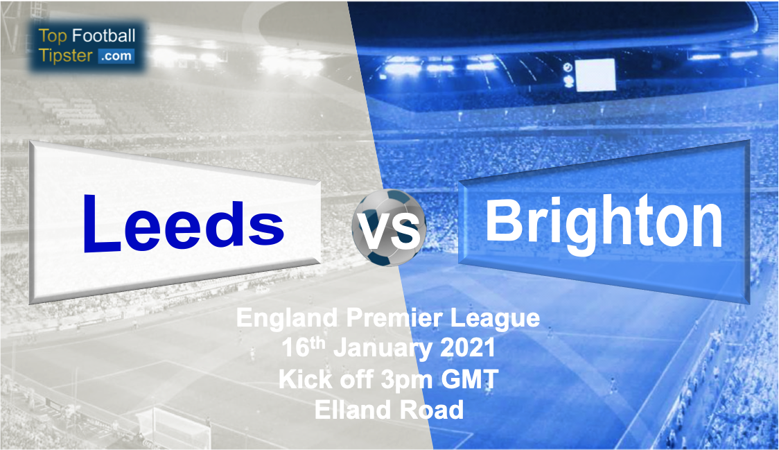 Leeds vs Brighton: Preview and Prediction