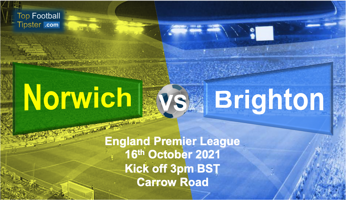 Norwich vs Brighton: Preview and Prediction