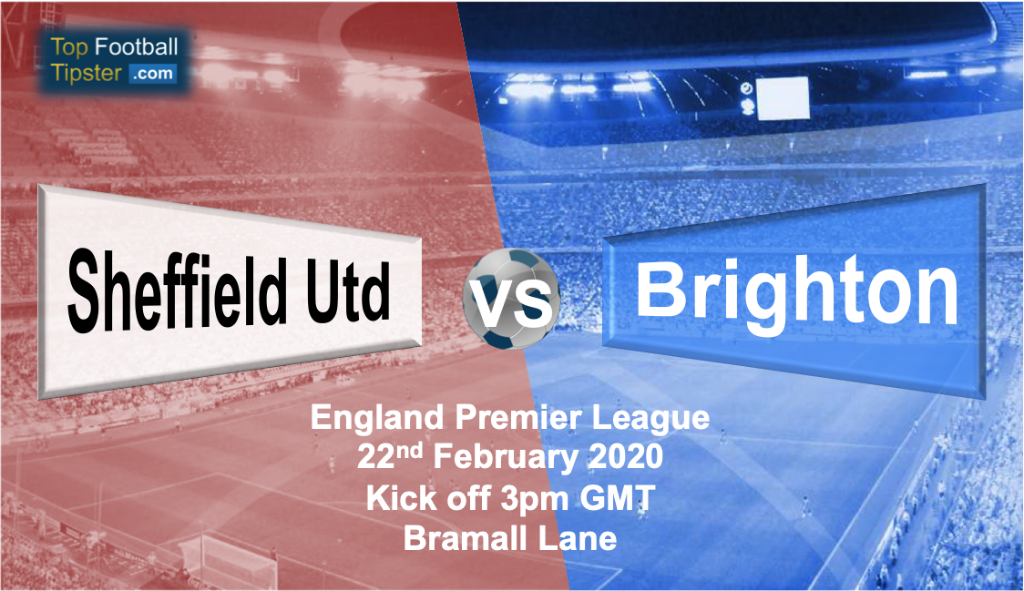 Sheffield Utd vs Brighton: Preview and Prediction