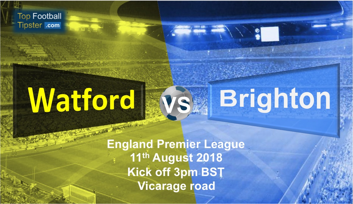 Watford vs Brighton: Preview and Prediction